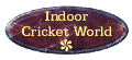Link to Indoor Cricket World
